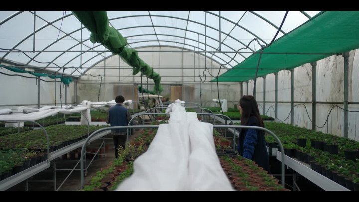 El jardinero. Temporada 1 Episodio 2. Germinación de las semillas