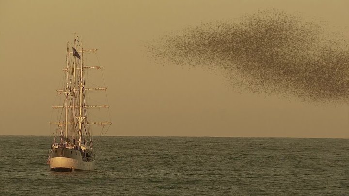 El.Barco. Temporada 1 Episodio 05